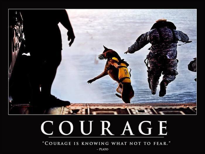 Courage Poster