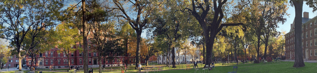 Harvard Yard